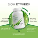 aloecure-organic-aloe-vera-capsules-pack-3.jpg