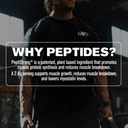 jacked-factory-creatine-peptides-creatin-4.jpg