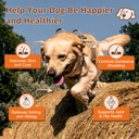 omega-3-fish-oil-for-dogs-salmon-oil-ski-5.jpg