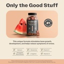truheight-growth-gummies-watermelon-tall-4.jpg