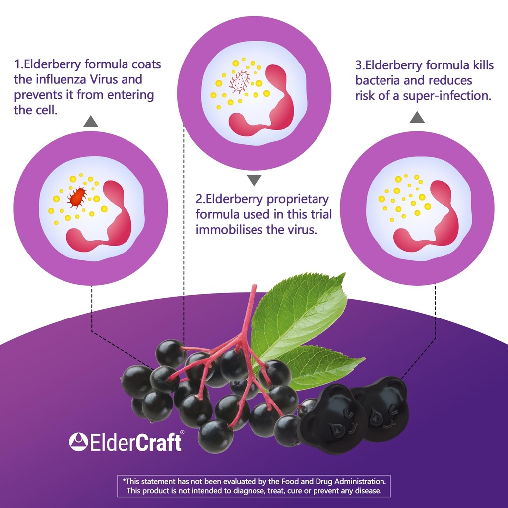 biobor-natural-black-elderberry-gummies--5.jpg