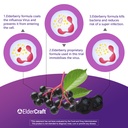 biobor-natural-black-elderberry-gummies--5.jpg