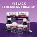 sambucol-elderberry-gummies-immune-suppo-6.jpg