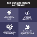 just-ingredients-elderberry-lemonade-3-i-3.jpg