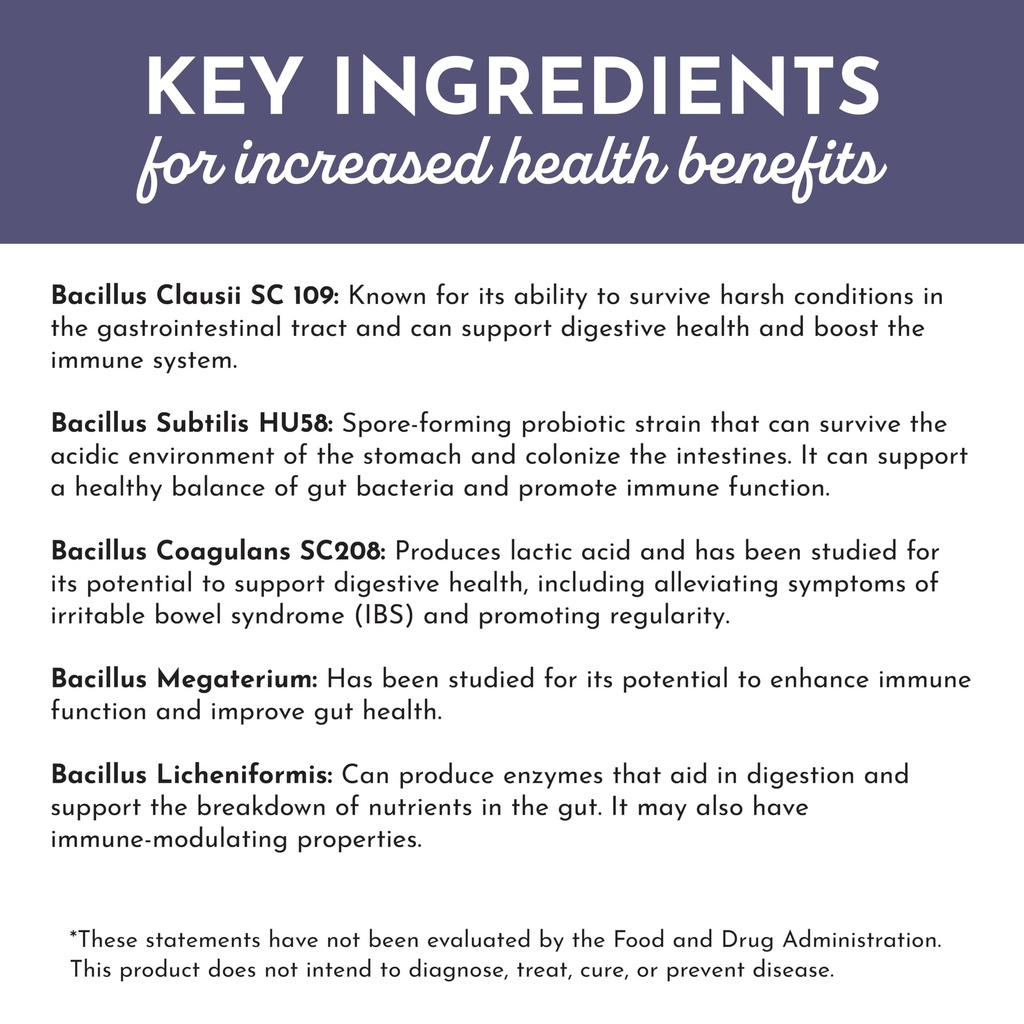 just-ingredients-elderberry-lemonade-3-i-4.jpg
