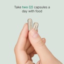santo-remedio-super-nopal-cactus-capsule-4.jpg