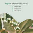 santo-remedio-super-nopal-cactus-capsule-5.jpg