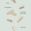 santo-remedio-super-nopal-cactus-capsule-3.jpg