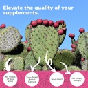 nopal-cactus-capsules-1500mg-organic-sun-3.jpg