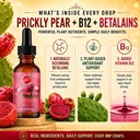 prickly-pear-drops-concentrated-nopal-ca-3.jpg