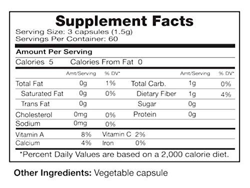 seagate-products-freeze-dried-nopal-cact-2.jpg