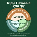 luteolin-supplement-98-ultra-purity-lute-4.jpg