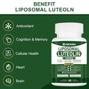 1000mg-liposomal-luteolin-maximum-absorp-5.jpg