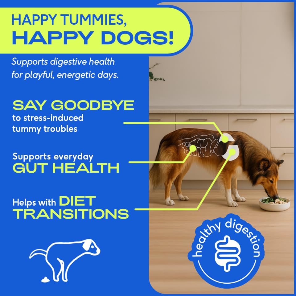 native-pet-probiotic-for-dogs-omega-oil--4.jpg
