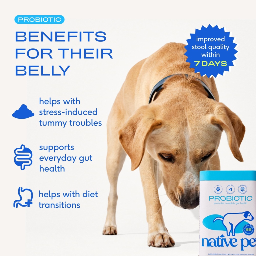 native-pet-belly-bundle-pumpkin-for-dogs-3.jpg