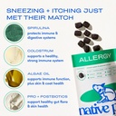 native-pet-allergy-chews-for-dogs-60-air-6.jpg