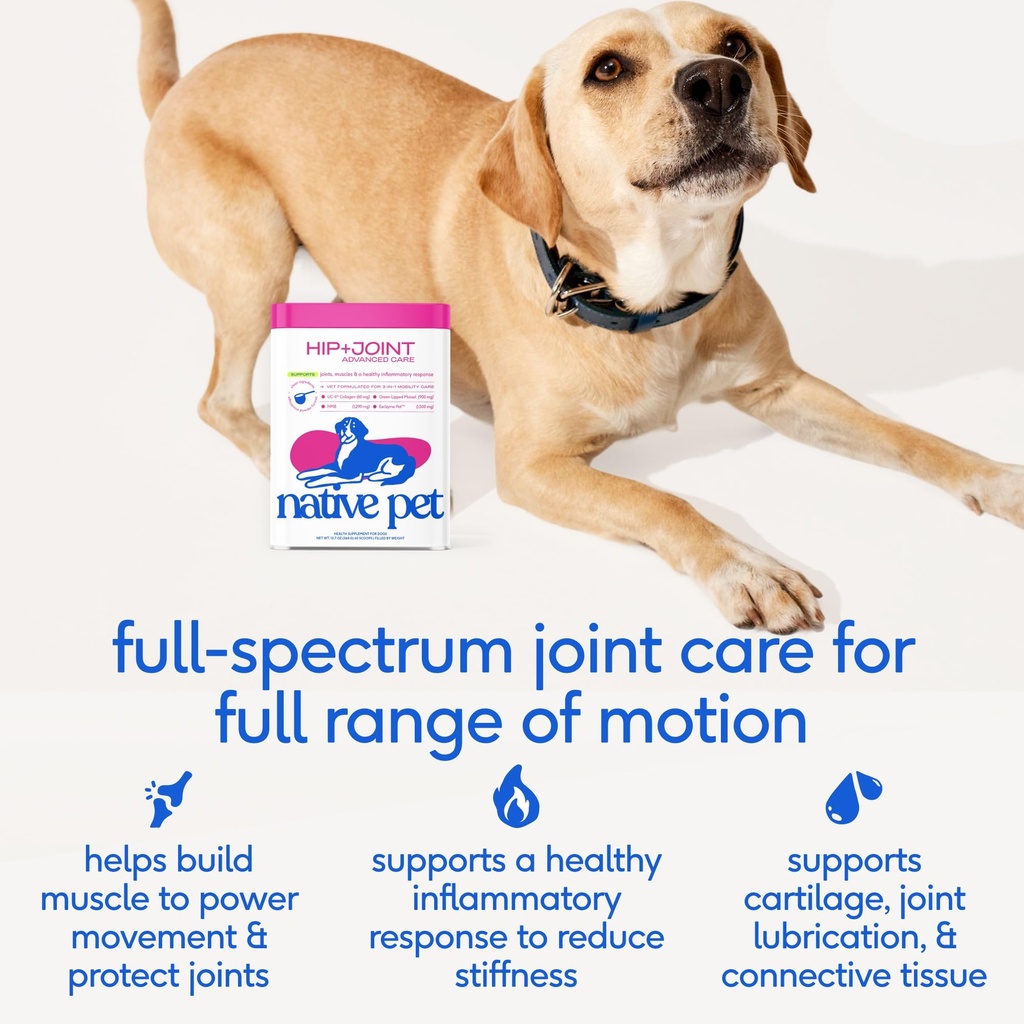 native-pet-joint-health-daily-wellness-p-3.jpg