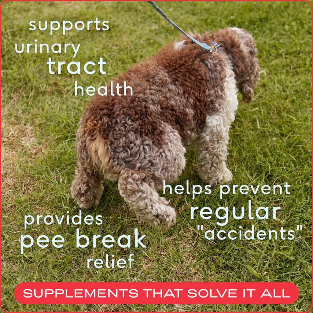 native-pet-dog-uti-treatment-over-the-co-2.jpg