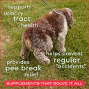 native-pet-dog-uti-treatment-over-the-co-2.jpg