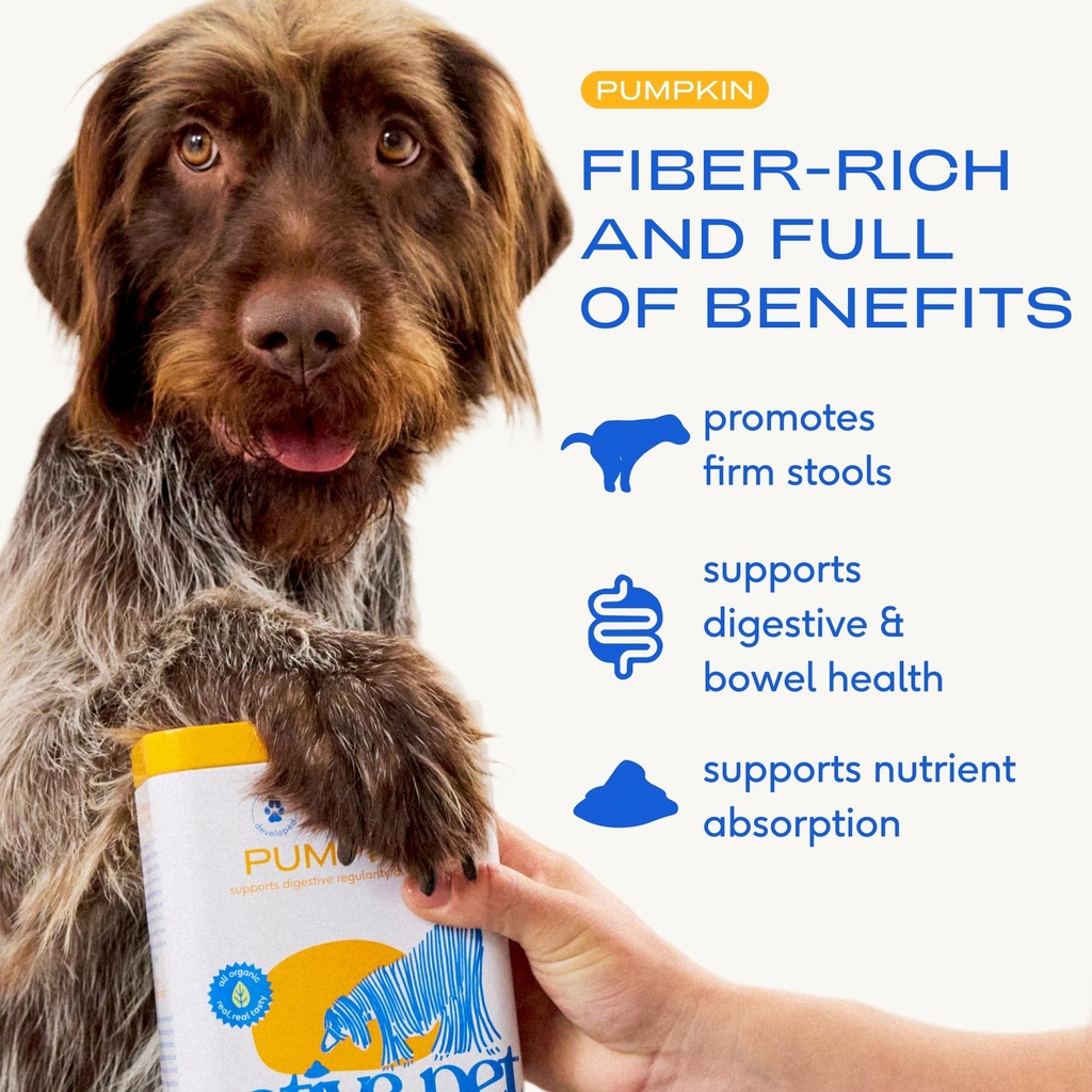native-pet-pumpkin-for-dogs-60-scoops-an-2.jpg