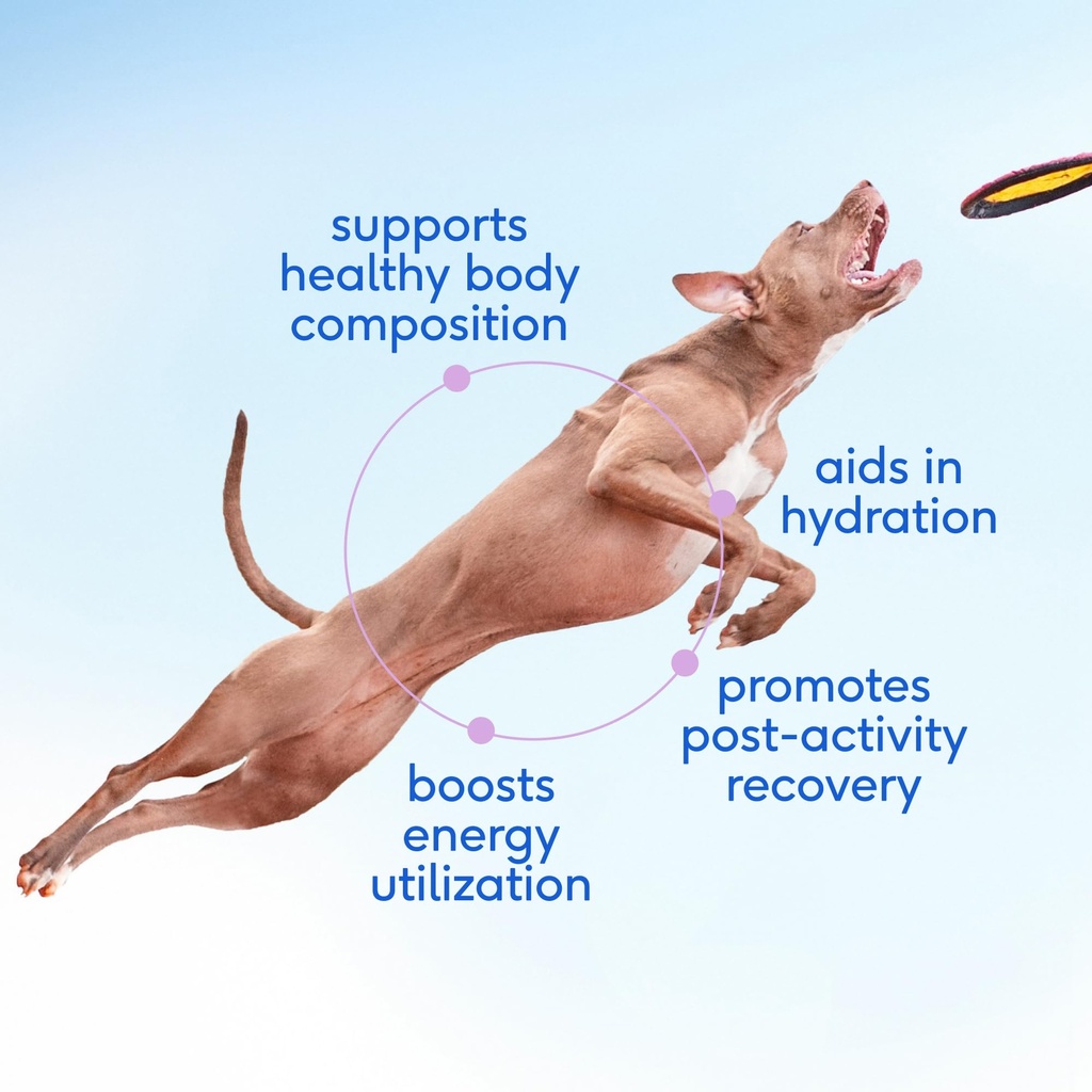 native-pet-the-daily-dog-supplement-60-s-3.jpg