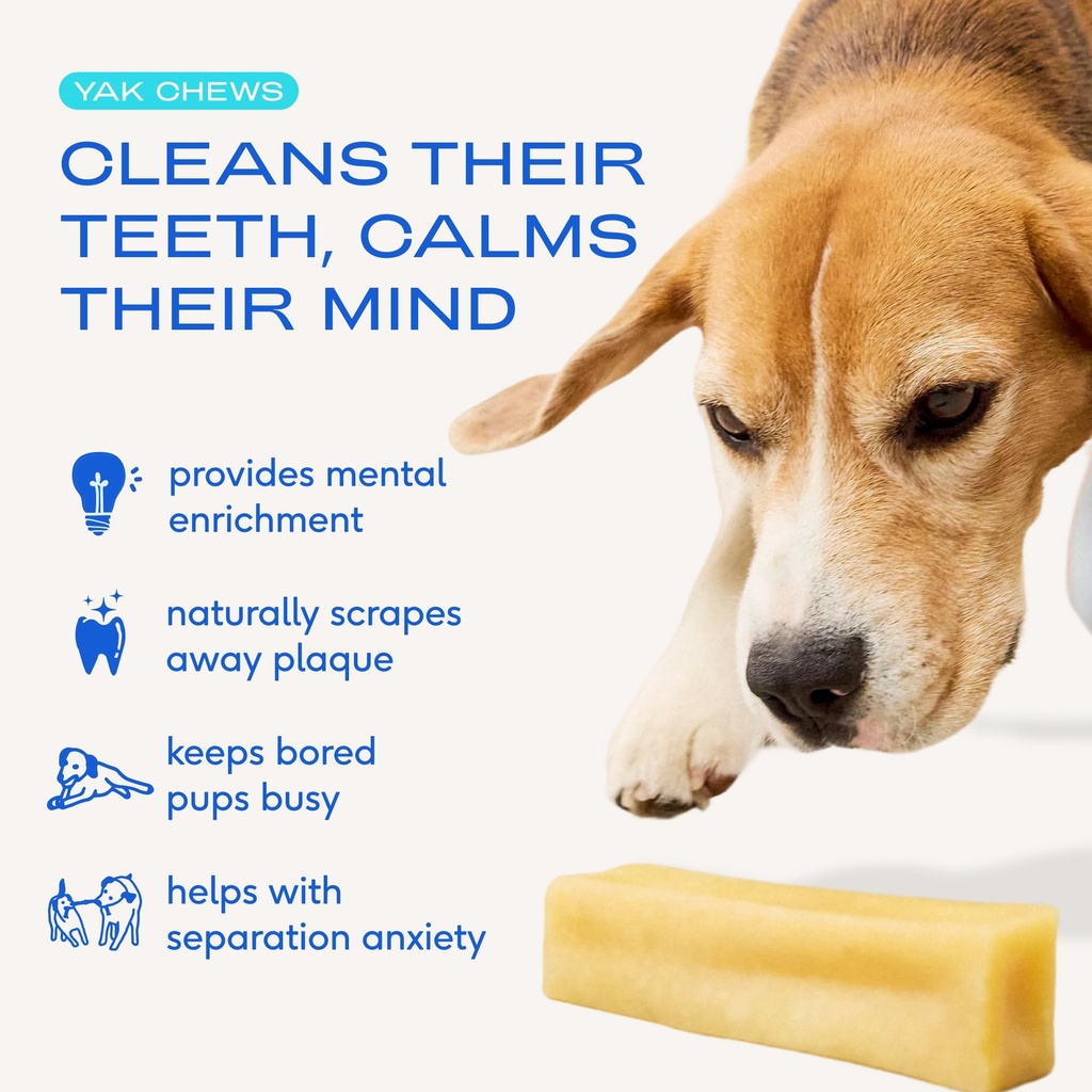native-pet-the-daily-dog-vitamins-supple-3.jpg