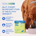 native-pet-slim-wellness-trio-60-scoops--4.jpg