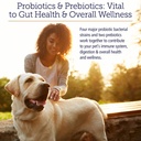 rx-vitamins-rx-biotic-probiotic-powder-f-2.jpg