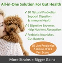 tummyworks-probiotics-for-dogs-and-cats--2.jpg