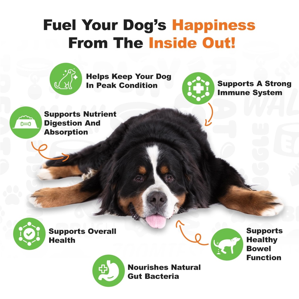 doggie-dailies-probiotics-for-dogs-advan-3.jpg