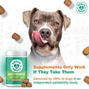 doggie-dailies-probiotics-for-dogs-advan-2.jpg