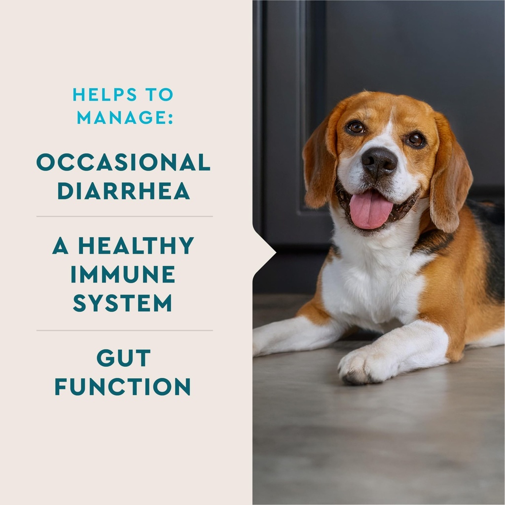 vetiq-probiotic-powder-for-dogs-treats-d-3.jpg
