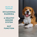 vetiq-probiotic-powder-for-dogs-treats-d-3.jpg
