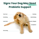 dog-probiotics-and-multivitamin-chews-fo-4.jpg