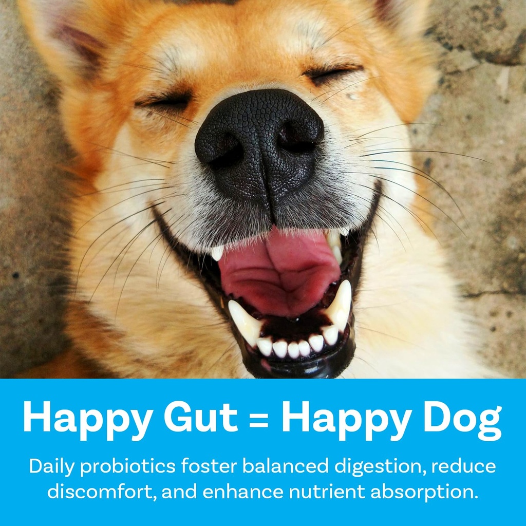 pawsafe-dog-probiotics-soft-chews-for-pi-3.jpg