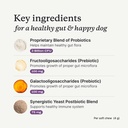 petlab-co-probiotics-for-dogs-support-gu-4.jpg