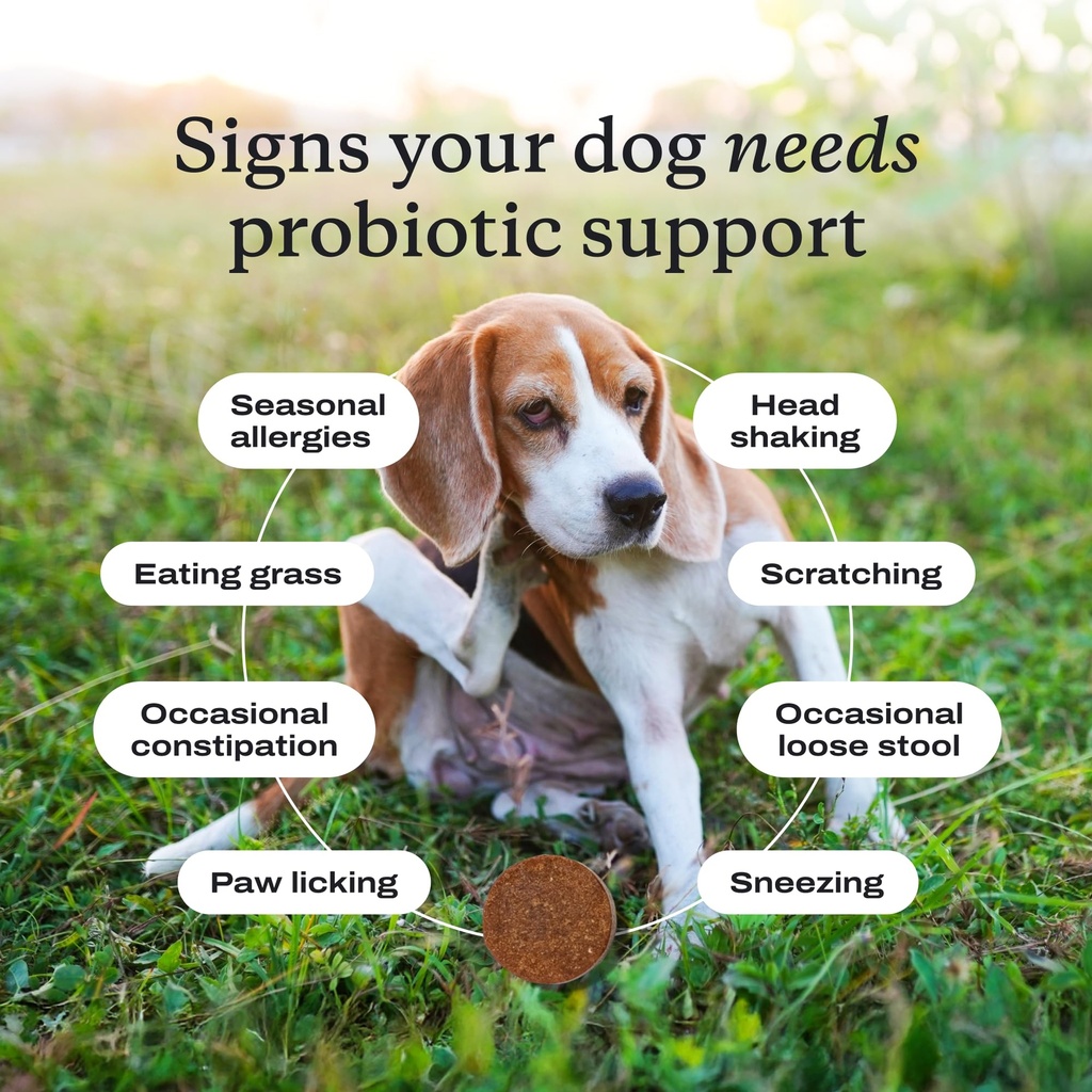 petlab-co-probiotics-for-dogs-support-gu-6.jpg