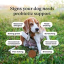 petlab-co-probiotics-for-dogs-support-gu-6.jpg