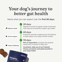 petlab-co-probiotics-for-dogs-support-gu-5.jpg