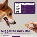 iheartdogs-3-in-1-probiotic-for-dogs-wit-6.jpg