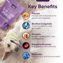 iheartdogs-3-in-1-probiotic-for-dogs-wit-4.jpg