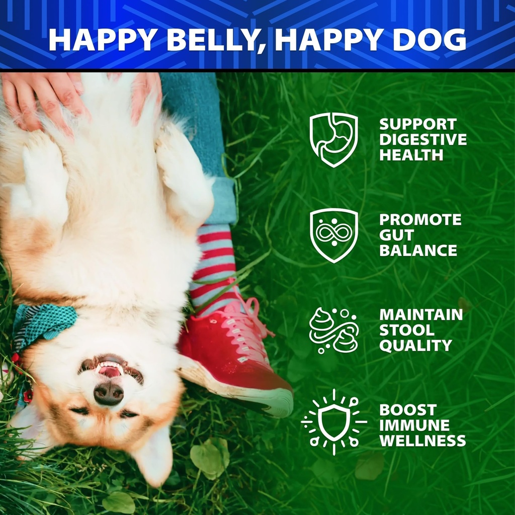 advanced-probiotics-for-dogs-for-gut-dig-2.jpg