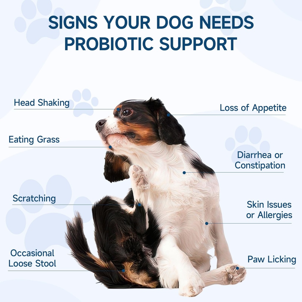 woyamay-dog-probiotic-for-dogs-200-soft--4.jpg