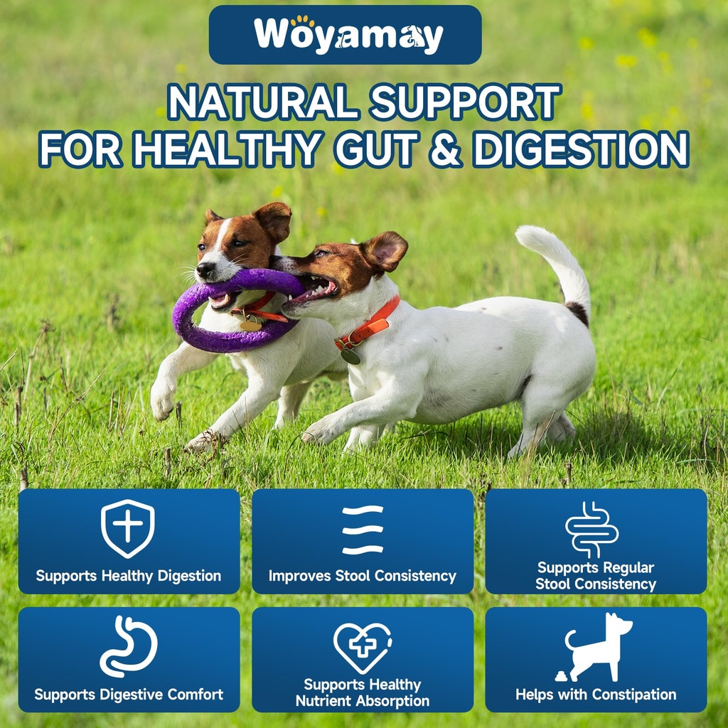woyamay-dog-probiotic-for-dogs-200-soft--3.jpg
