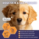 nature-target-probiotics-for-dogs-6-bill-5.jpg