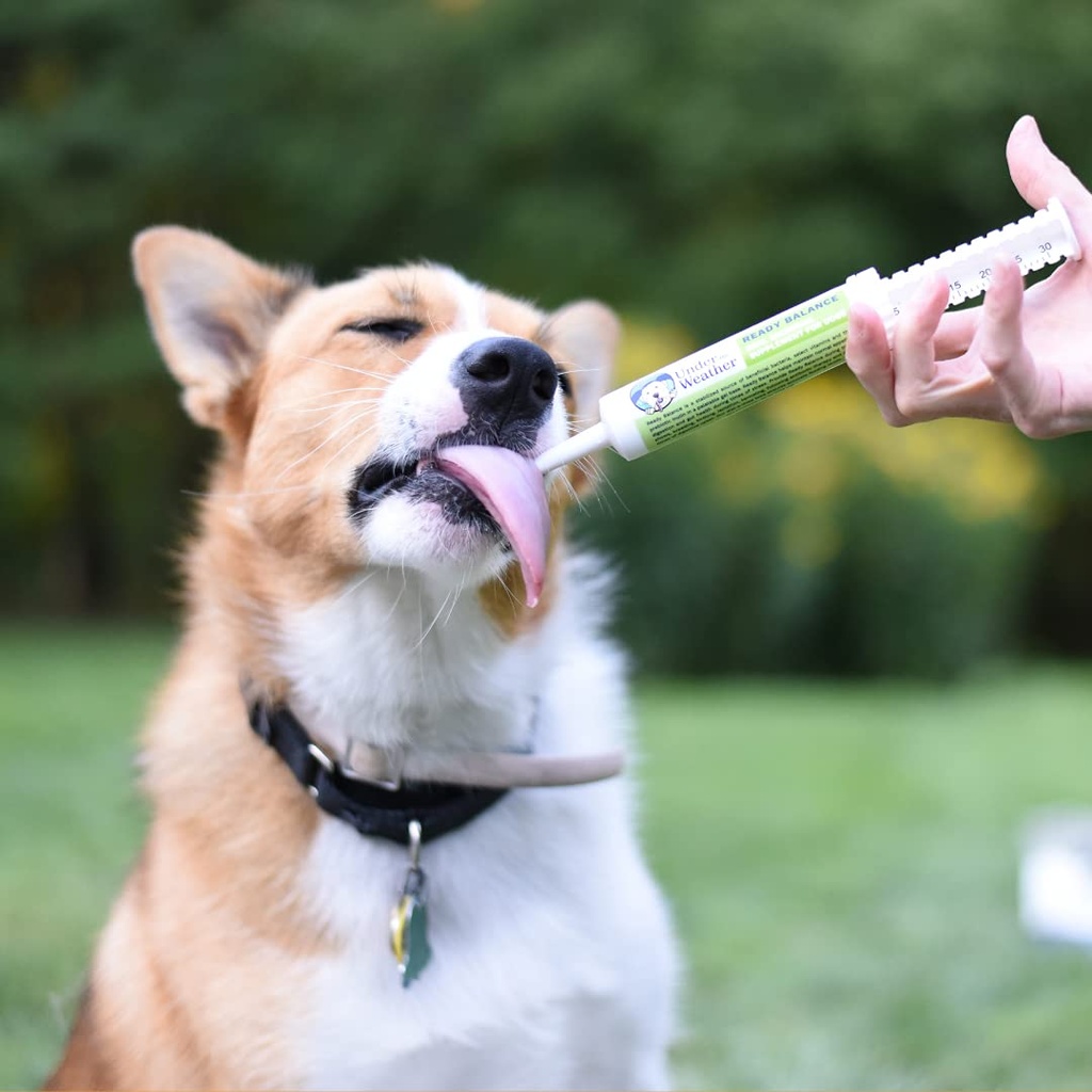 under-the-weather-pet-ready-balance-for--5.jpg