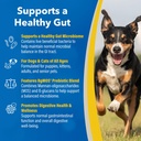 doc-roy-s-gi-synbiotics-probiotic-prebio-2.jpg