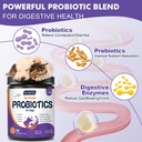 drfoster-probiotics-for-dogs-freeze-drie-2.jpg