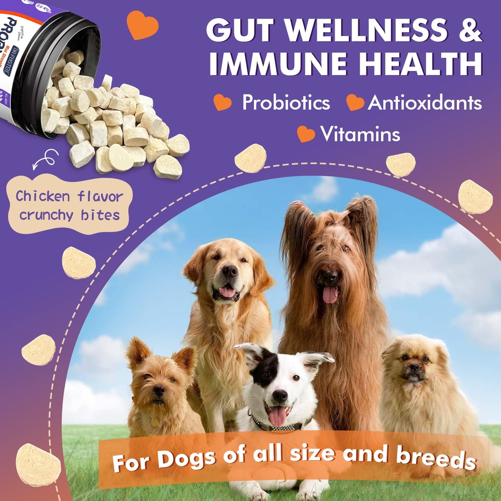 drfoster-probiotics-for-dogs-freeze-drie-3.jpg