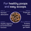 finn-digestive-probiotics-for-dogs-compl-2.jpg
